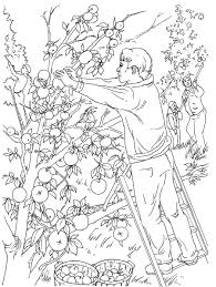 Summer holidays, party and rest hand drawn coloring book for adult. Amazon Com Creative Haven Country Scenes Coloring Book Creative Haven Coloring Books 9780486494555 Barlowe Dot Books