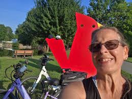 MCT Trails Rider group