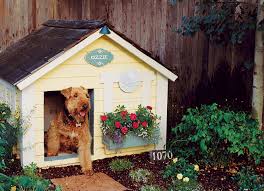 Check these 8 diy dog pool ideas for your pet dog so that he can cool off while staying outdoor with boiling temperatures. Landscaping For Dogs Sunset Magazine