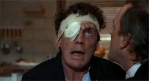 Linguetic: English language PLUS environmental studies