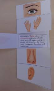 Material Intern Zaubereinmaleins Designblog Zaubereinmaleins Funf Sinne Kindergarten Sachunterricht Grundschule Das zaubereinmaleins ist unterteilt in den öffentlichen blog, in dem es hin und wieder. pinterest