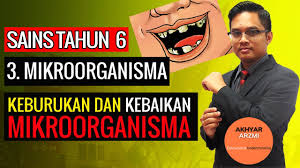 Savesave soalan sains mikroorganisme tahun 6 for later. Sains Tahun 6 Kebaikan Dan Keburukan Mikroorganisma Mikroorganisma Sainstahun6 Sains Youtube
