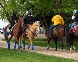 Trained by bob baffert, medina spirit drew. Jqbw0bedxgkebm