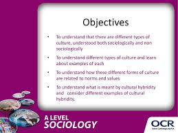 A Level Sociology Cultural Hybridity Ppt Download