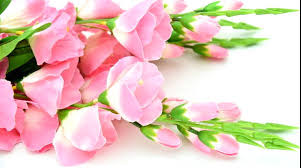 Gambar bunga kartun yang cantik the galleries of hd wallpaper. Gambar Bunga Cantik Harian Nusantara