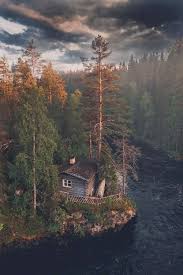 Showcase Petite Green Thyme Jenni Midi Dress Pemandangan Hutan Kota