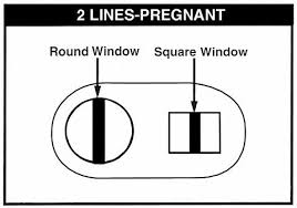 How To Read Pregnancy Test With Two Windows Pregnancy Test
