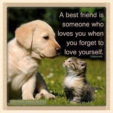 Maybe you would like to learn more about one of these? A Best Friend Quotes Friendship Animals Quote Dog Friend Pets Friendship Quote Kitten Friendship Quotes Spruche Tiere Hundebaby Katzen Bilder