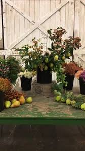 It was later in the day, but young flowers was able to deliver the most beautiful ``young flowers is amazing! Seattle Wholesale Growers Market Home Facebook