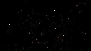 نتیجه جستجوی لغت [fireflies] در گوگل