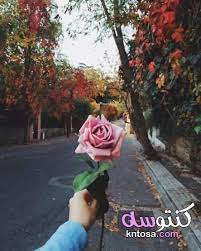 صور ورد مع بنات احلى صور ورود 2020 جوده عالية صور زهور منوعة kntosa com 10 19 157 plants beautiful garden