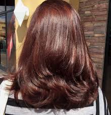 The word itself sounds opulent, luxurious, exotic. 49 Hair Color Brown Mahogany Amazing Concept