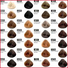 Most Exclusive Hair Colors Of Summer And Autumn Season Beauty And Best Hairstyles Hair Color Names Brown Hair Colors Loreal Hair Color