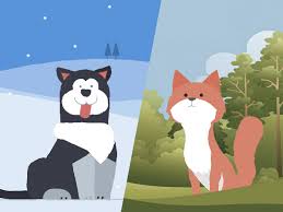 Animated Animals In Css And Svg Codrops Animated Animals Animate Css Web Development Design