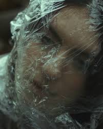 Shane Joyce (@shanej0yce) • Instagram photos and videos