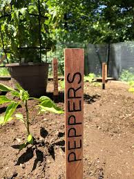 These diy garden markers are the perfect way to help me keep things sorted and cute. Easy And Cheap Diy Plant Markers For Your Garden