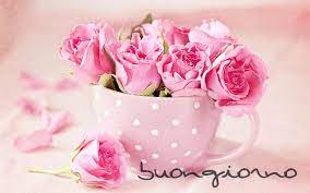 Pin By Mary Bi On Buongiorno Rose Flower Wallpaper Flower Wallpaper Pink Rose Flower
