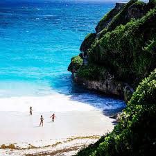 Record Amount Of Seaweed Is Choking Shores In The Caribbean