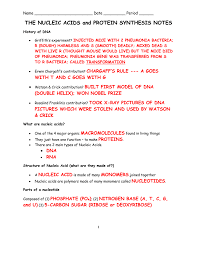 Coloring answers key prokaryote coloring answers key prokaryotic vs. Nucleic Acids Worksheet Answers Promotiontablecovers