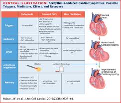 Arrhythmia-Induced Cardiomyopathy: JACC State-of-the-Art Review | JACC