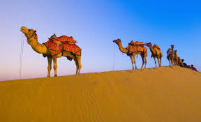 Unta Mesin Padang Pasir yang ...