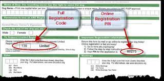 American Kennel Club Online Dog Registration