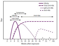 prevention of hepatitis b virus infection in the united