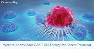 Image result for what is a t cell treatment