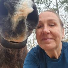 Brazilian Horse Rescue Efforts by Dr. Leonardo Castro