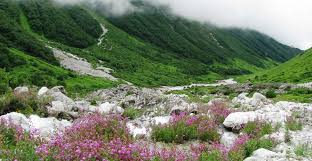 Maybe you would like to learn more about one of these? Things To Know About The Valley Of Flowers