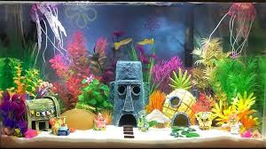 5 Cool Fish Tank Themes You Ll Want To Replicate Cool Fish Tanks Fish Tank Decorations Fish Aquarium Decorations