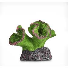 We did not find results for: Imagitarium Coral Resin Aquarium Decor In Assorted Styles Small Petco