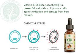 We would like to show you a description here but the site won't allow us. Pure Natural Vitamin E Oil Food Grade 10 500iu D Alpha Tocopherol 15 Ml Helps Support The Bodies Natural Immune System Uses Orally Or Topic Walmart Com Walmart Com