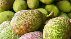 Dilansir dari fimela.com, nangka dan cempedak mempunyai tekstur kulit dan buah yang mirip. 5 Perbedaan Nangka Dan Cempedak Buah Tropis Yang Sering Disamakan