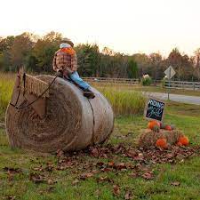 Hay Bale Decorating 2014 The Lettered Cottage In 2020 Hay Bale Fall Decor Hay Bales Hay Bale Decorations
