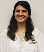 Meet the SI Bridges Scholars