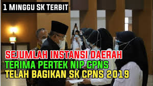 Selain itu, perlu juga dilampirkan pengumuman. Penyerahan Nip Dan Sk Cpns 2019 Penerbitan Sk Di Percepat Youtube