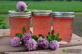 This Red Clover Jelly Recipe Is One Way To Use An Abundance Of Clover Blossoms There S Also Information On The Herba Jelly Recipes Flower Food Canning Recipes