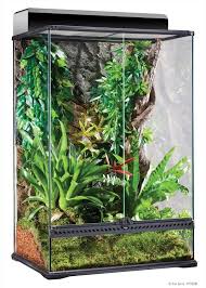 Terrarium Exo Terra Open Front Medium Extra Tall 24 Terrarium Terrarium For Sale Glass Terrarium