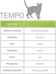 Diseases in any part of this system, or the respiratory centre in the brain, can lead to cat breathing problems. Cats And Music What You Should Know Cat S Best