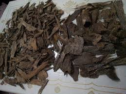 Beli produk kayu gaharu berkualitas dengan harga murah dari berbagai pelapak di indonesia. Kayu Gaharu Salah Satu Kayu Termahal Di Dunia Asli Indonesia Kebunpedia