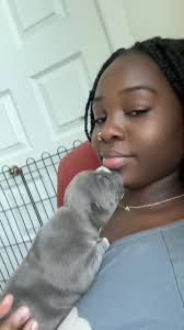 Adorable Dog TikTok Compilation