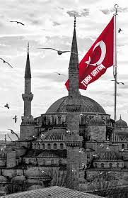 11 95788 0064 adli kullanicinin estambul turquia panosundaki pin bayrak