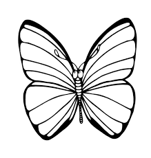 Mit dieser schmetterling vorlage zum ausdrucken als pdf / din a4 wird das basteln einfach und unkomplziert. Schmetterlinge Zum Ausmalbilder Fur Kinder 100 Bilder Kostenlos Drucken