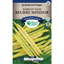 Semences Haricot Nain Beurre Minidor 250 Gr Les Doigts Verts Estragon Be