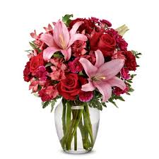 Father's day father's love fighting anxiety flower photography flowers flowers for grandma food forgiveness freedom friend friends friendship funny funny story giggle giggles goals god god's promises gossip grace. Grandma Flowers Learn The Best Flowers For Grandmother