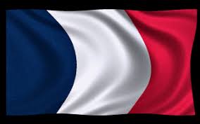 Vector files are available in ai, eps, and svg formats. 35 Great French Flag