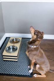 Diy Raised Dog Bowls Garrison Street Design Studio Raised Dog Bowls Dog Bowls Cat Food Station
