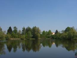 Der wolfgangsee im westen dieburgs ist seit vielen jahren ein sorgenkind: Wolfgangsee Mapio Net