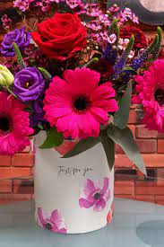 We did not find results for: Willows Flowers Gift Ideas Yllbb